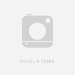 Promo 😍 Boxe Adulte Dorawon Dorawon, Short De Boxe En Satin Phoenix, Noir Et Or ⌛